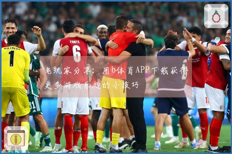 老玩家分享：用b体育APP下载获得更多游戏乐趣的小技巧
