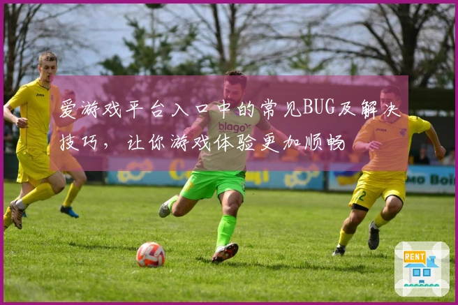 爱游戏平台入口中的常见BUG及解决技巧，让你游戏体验更加顺畅