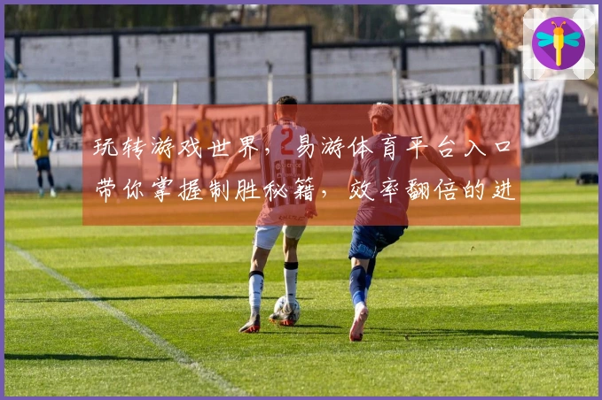 玩转游戏世界，易游体育平台入口带你掌握制胜秘籍，效率翻倍的进阶技巧揭秘！