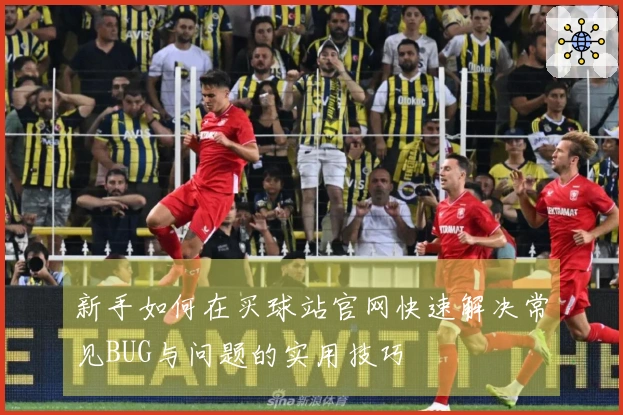 新手如何在买球站官网快速解决常见BUG与问题的实用技巧