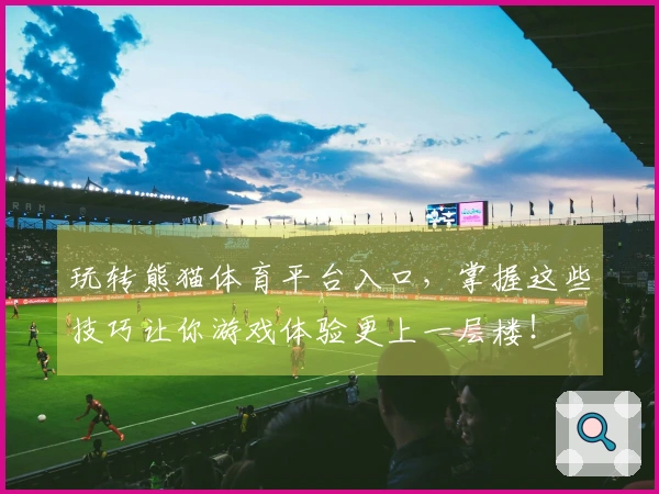 玩转熊猫体育平台入口，掌握这些技巧让你游戏体验更上一层楼！